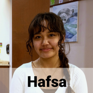 hafsa