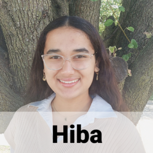 hiba